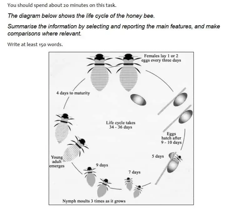 IELTS Academic Writing Task 1 cycle question