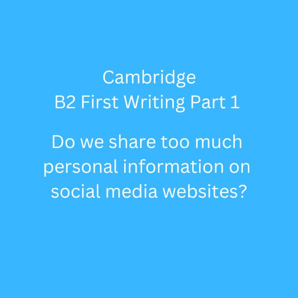 essay social media b2